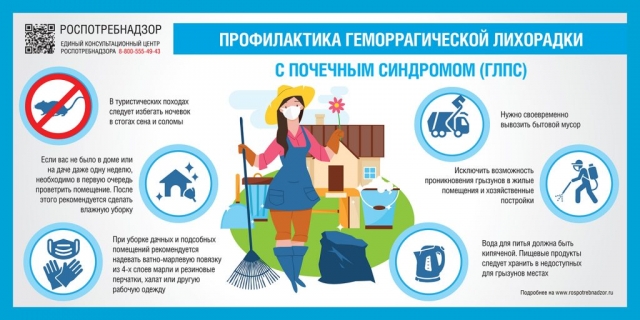 Профилактика геморрагической лихорадки с почечным синдромом (ГЛПС)