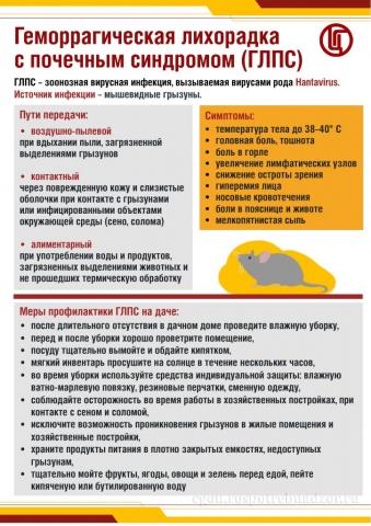 Профилактика геморрагической лихорадки с почечным синдромом (ГЛПС)